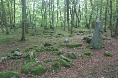 Burial Place at Bøgebjerg