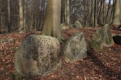 Gammel Fredskov Langdysse