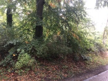 Bellahøj Park Gravhøj 4 - PID:219443
