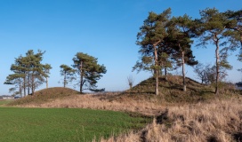 Flintholmgaard's højgruppe