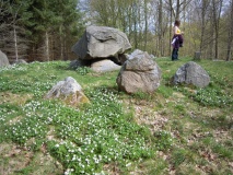 Hestehave Langdysse (Randers)