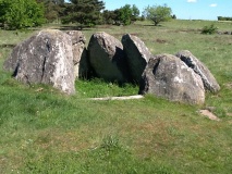 Tustrup Dyssekammer