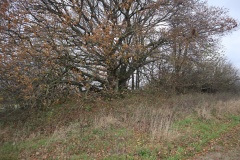Lykkesholm Langdysse 2