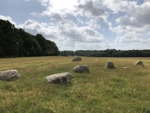 Jægersborg Dyrehave Langdysse 3