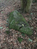 Kettingskov Langdysse