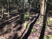 Næsbyholm Storskov Megalitgrav 4