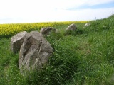 Brattingsborg Langdysse - PID:289674