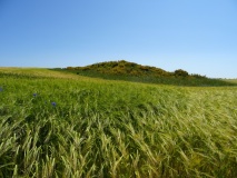 Vester Præstegård Langdysse