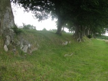 Stenagergård Langdysse