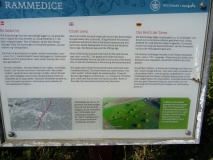 Rammedige