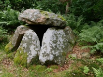 Grevinge Skov Runddysse 1