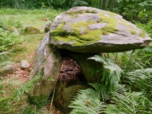 Grevinge Skov Runddysse 1