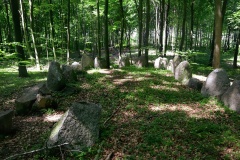 Alsted Skov Langdysse 1