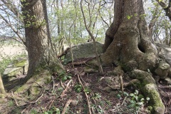 Langebæk Jættestue 2