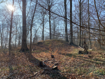 Trørød Skov Rundhøj 3