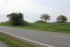 Bakkegård Rundhøje
