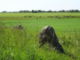 Fjelsø Stendos Langdysse - PID:262214