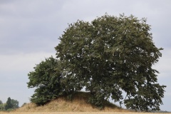 Keldernæs Jættestue