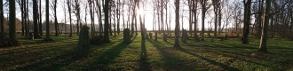 Louisenlund Grove