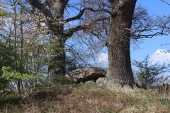 Langebæk Jættestue 1