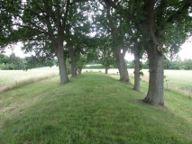 Stenagergård Langdysse