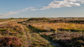 Stensbæk Rundhøj