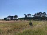 Boeslum Langdysse - PID:274532