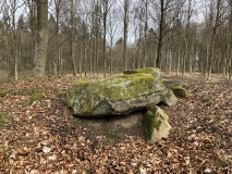 Risby Vang Langdysse 1