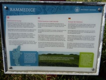 Rammedige