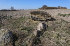 Snertinge Runddysse