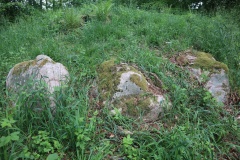 Ringelmose Skov Langdysse 1