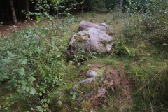 Ravnsholt Langdysse