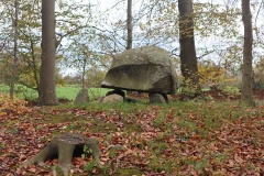 Vintersbølle Skov Runddysse