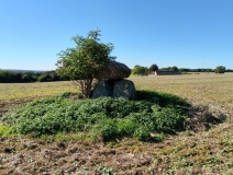 Skårup Juliegård Dyssekammer