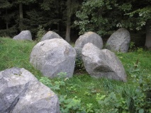 Rye Skov Langdysse