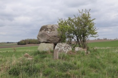 Kelstrup Ugledysse