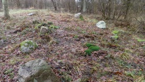 Østre Gulstav Langhøj