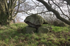 Bildsø Horsedysse