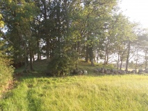 Kommandanthøjen