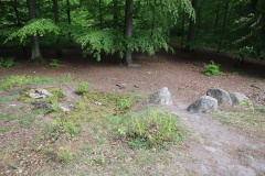 Ringelmose Skov Langdysse 3
