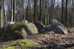 Storskov Runddysse 3