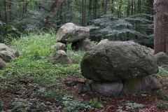 Brandelevholme Langdysse