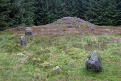 Tingskov Søhøje Stenkreds