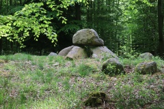 Ringelmose Skov Langdysse 2
