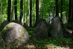 Alsted Skov Langdysse 1