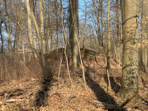 Trørød Skov Rundhøj 1