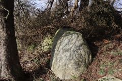 Bavnen Langdysse