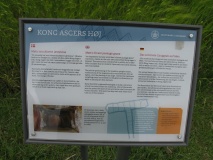 Sprove Kong Asgers Høj