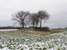 Skovholm Rundhøj