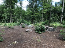 Folehaven Stensætning